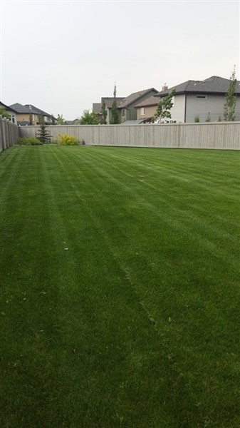 Property Maintenance
