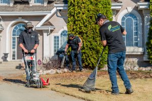 Seasonal Solutions Inc. photo 5