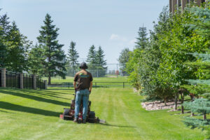 lawn maintenance