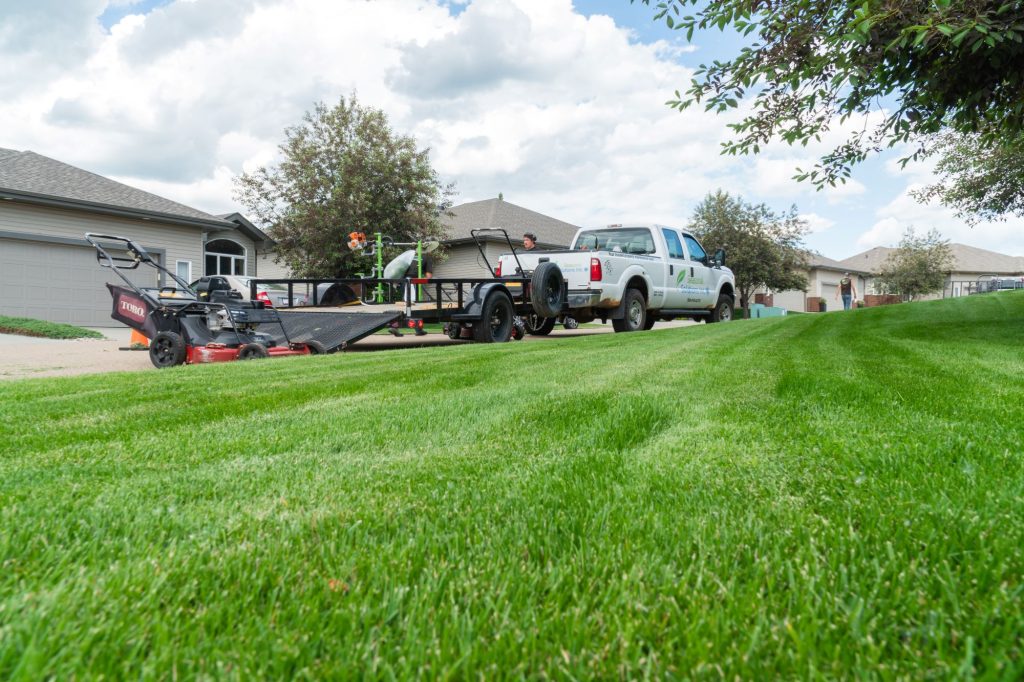 Close up of lawn with truck in background